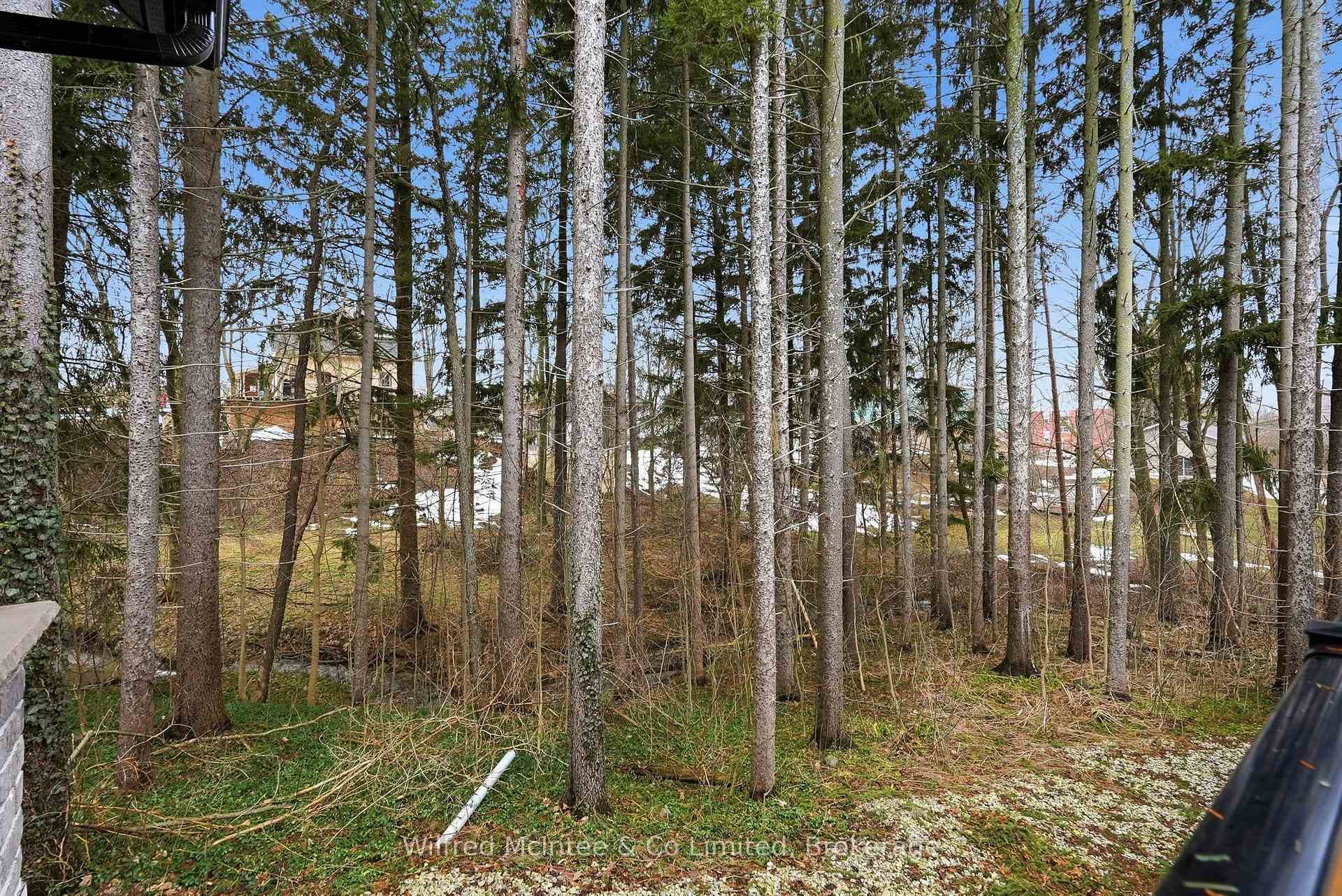 Treed double lot is a paradise