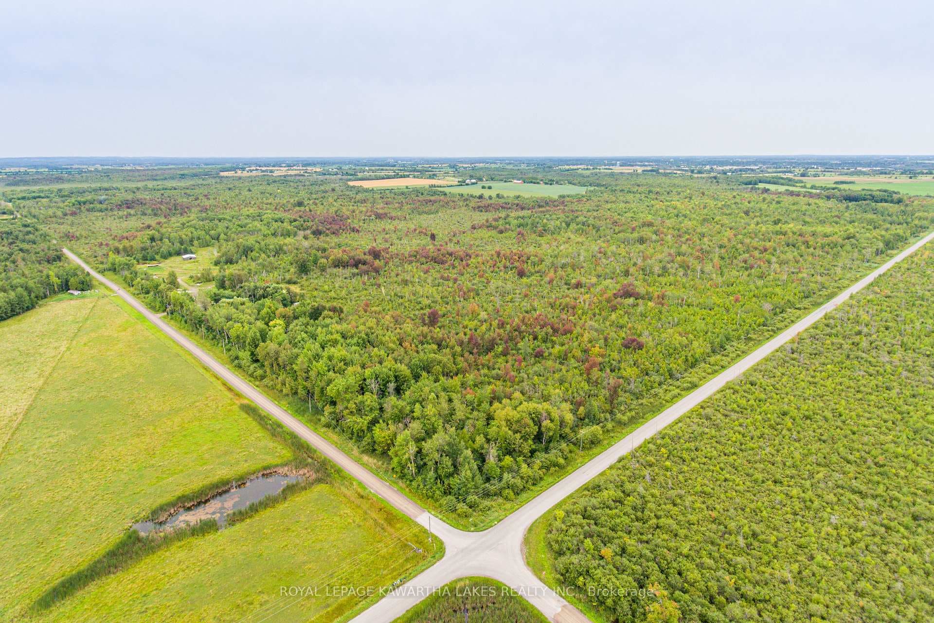 917 Settlers Road photo 28