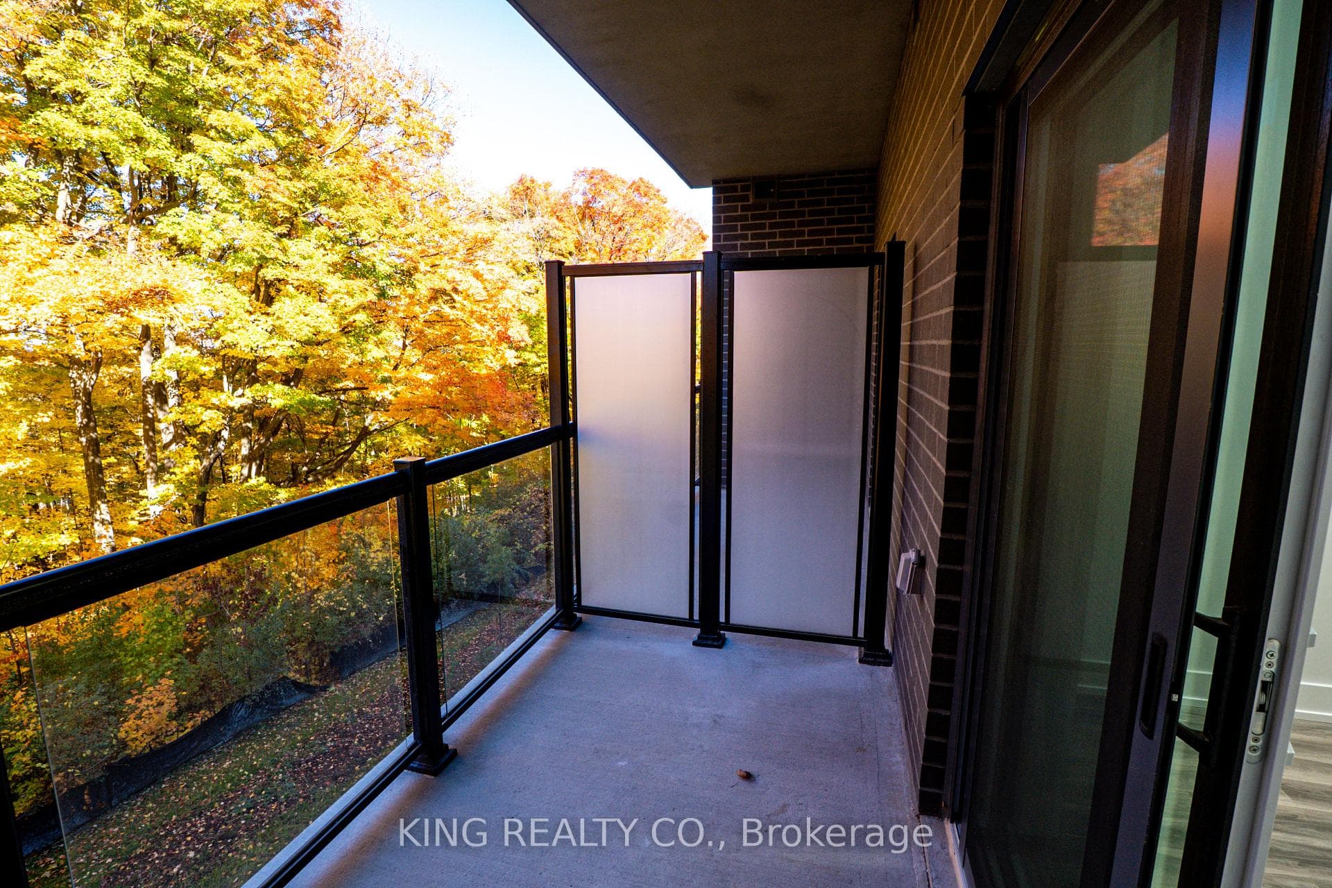 1100 Lackner Pl Place Unit 204 photo 12
