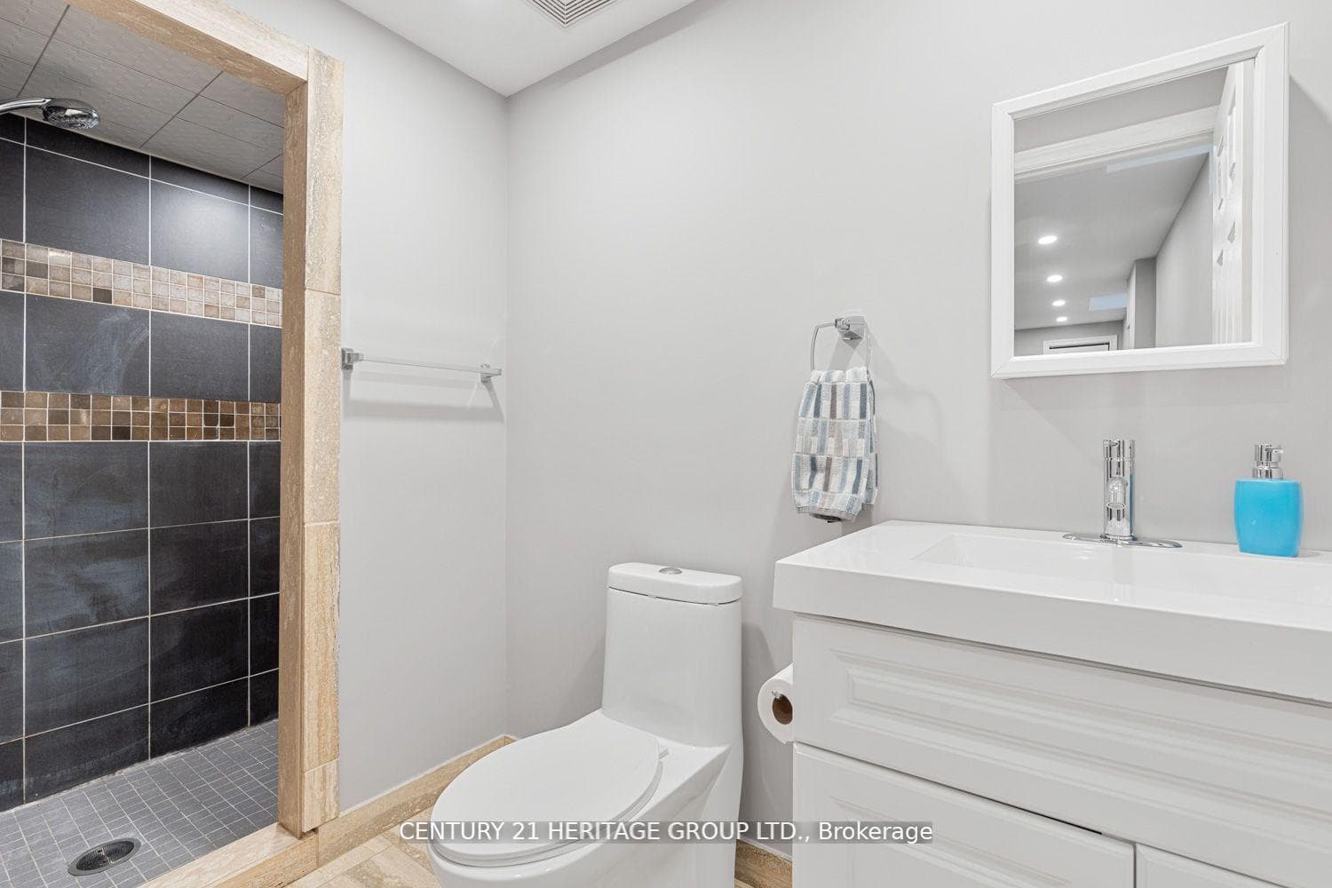59 Highmore Avenue photo 35