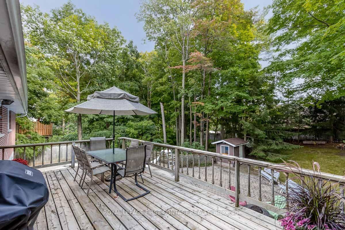 27 Shirley Avenue photo 16