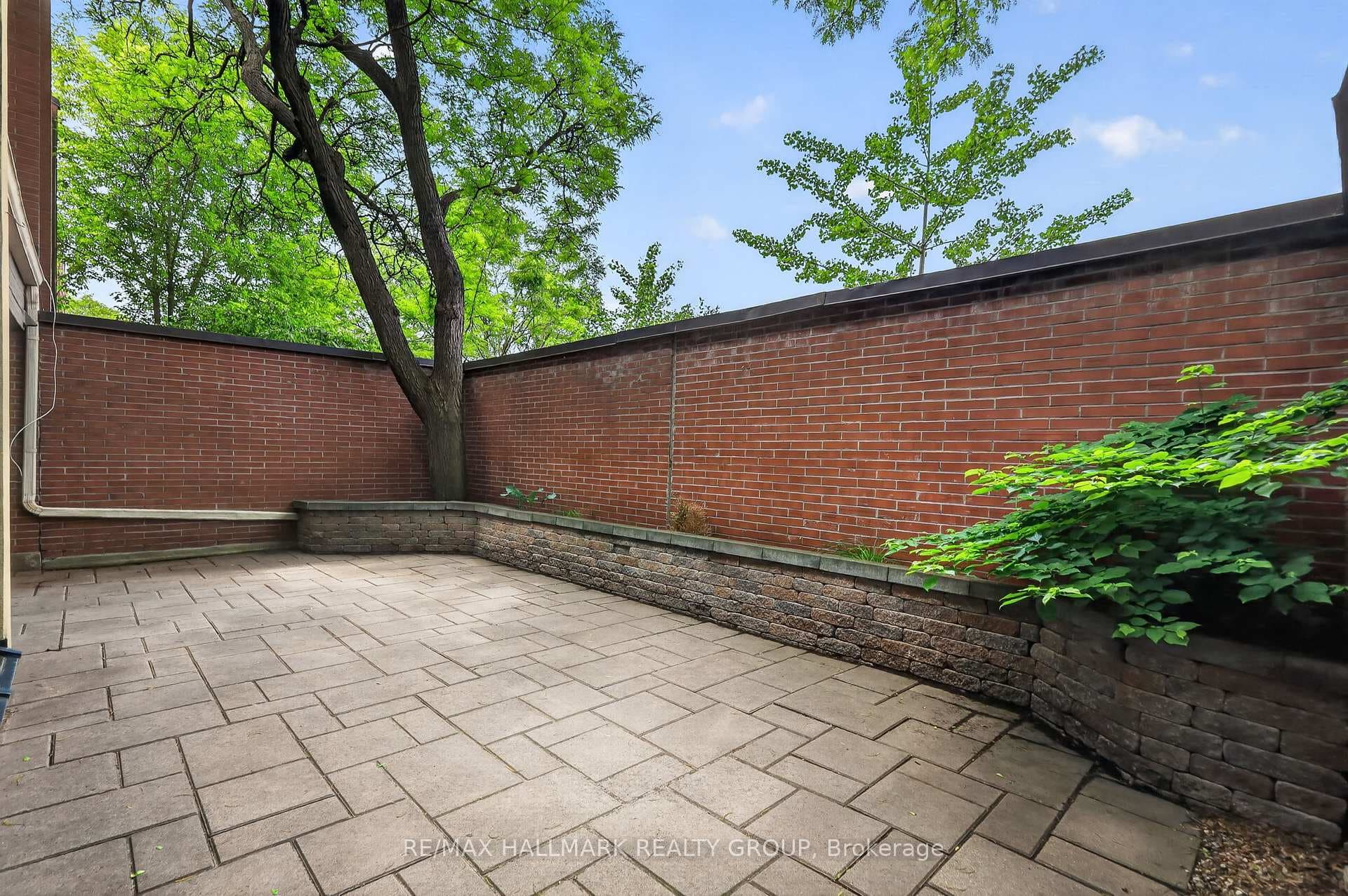 290 CATHCART Street Unit 22 photo 41