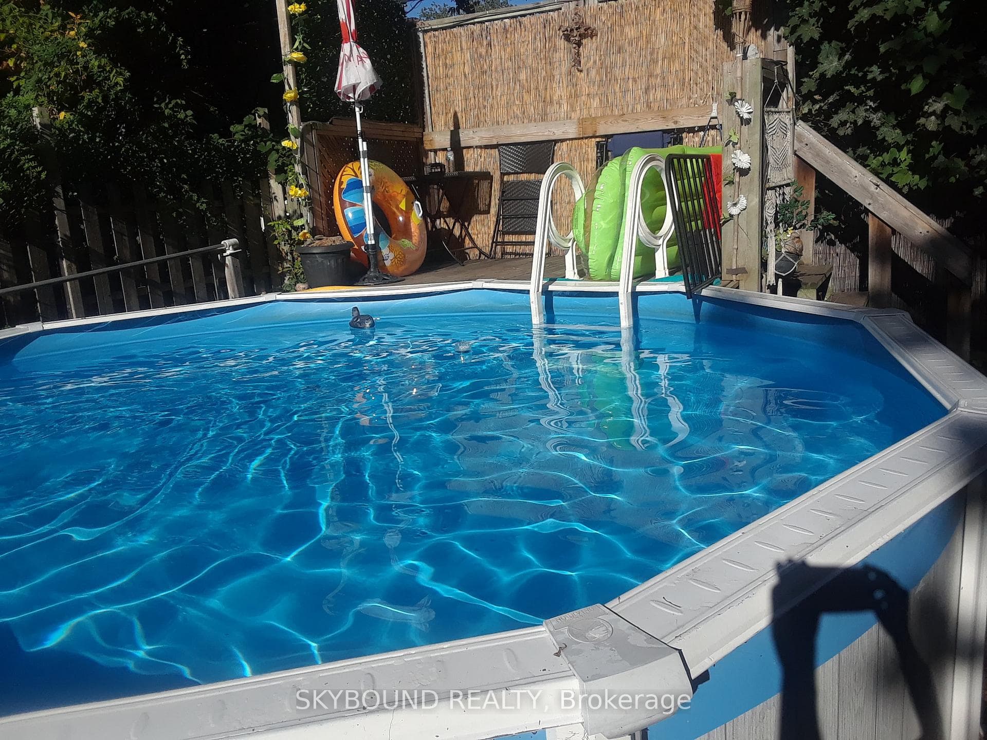 5 Westbourne Avenue photo 28