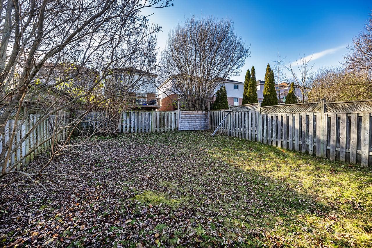 Large backyard