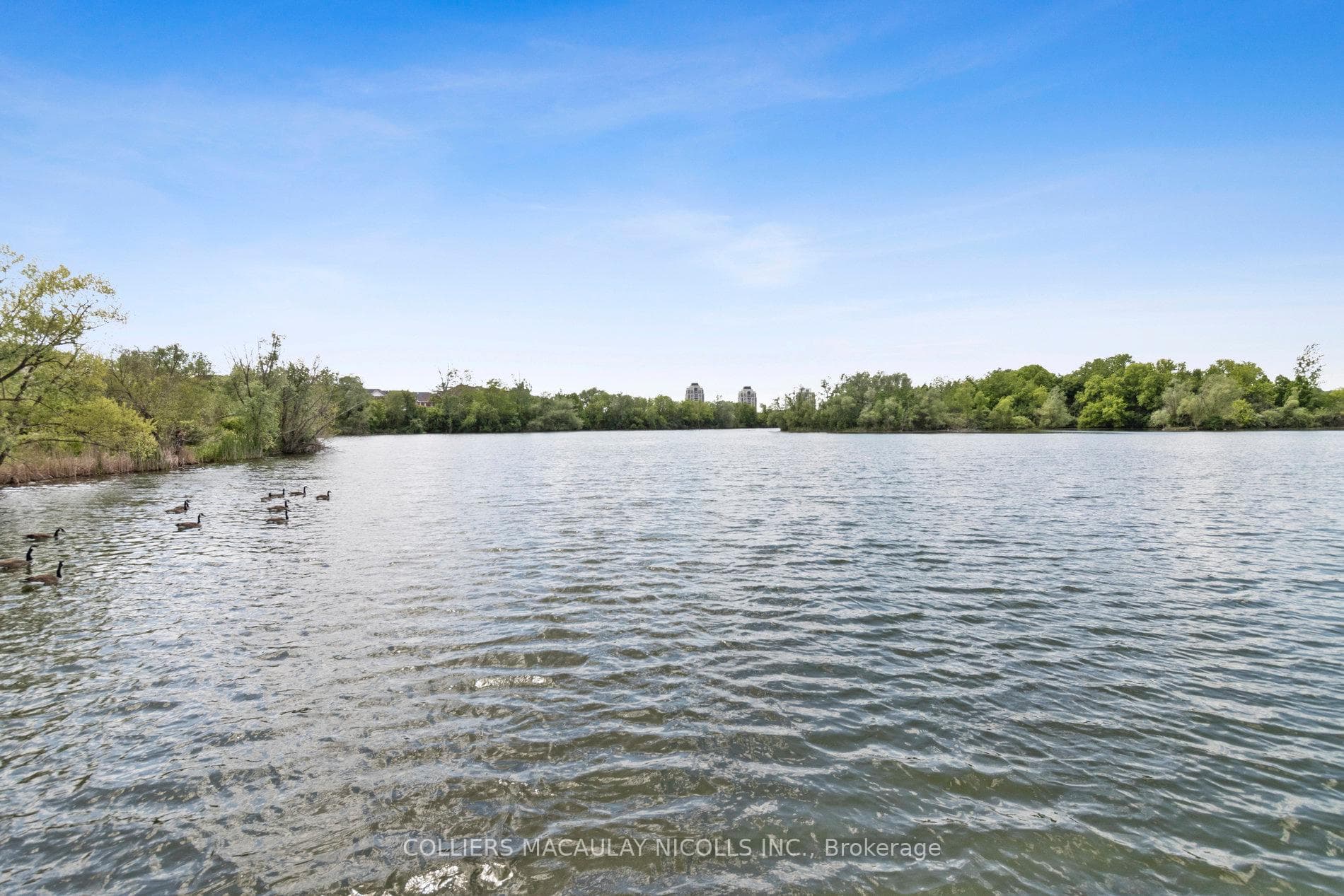 5 Longmont Way photo 34