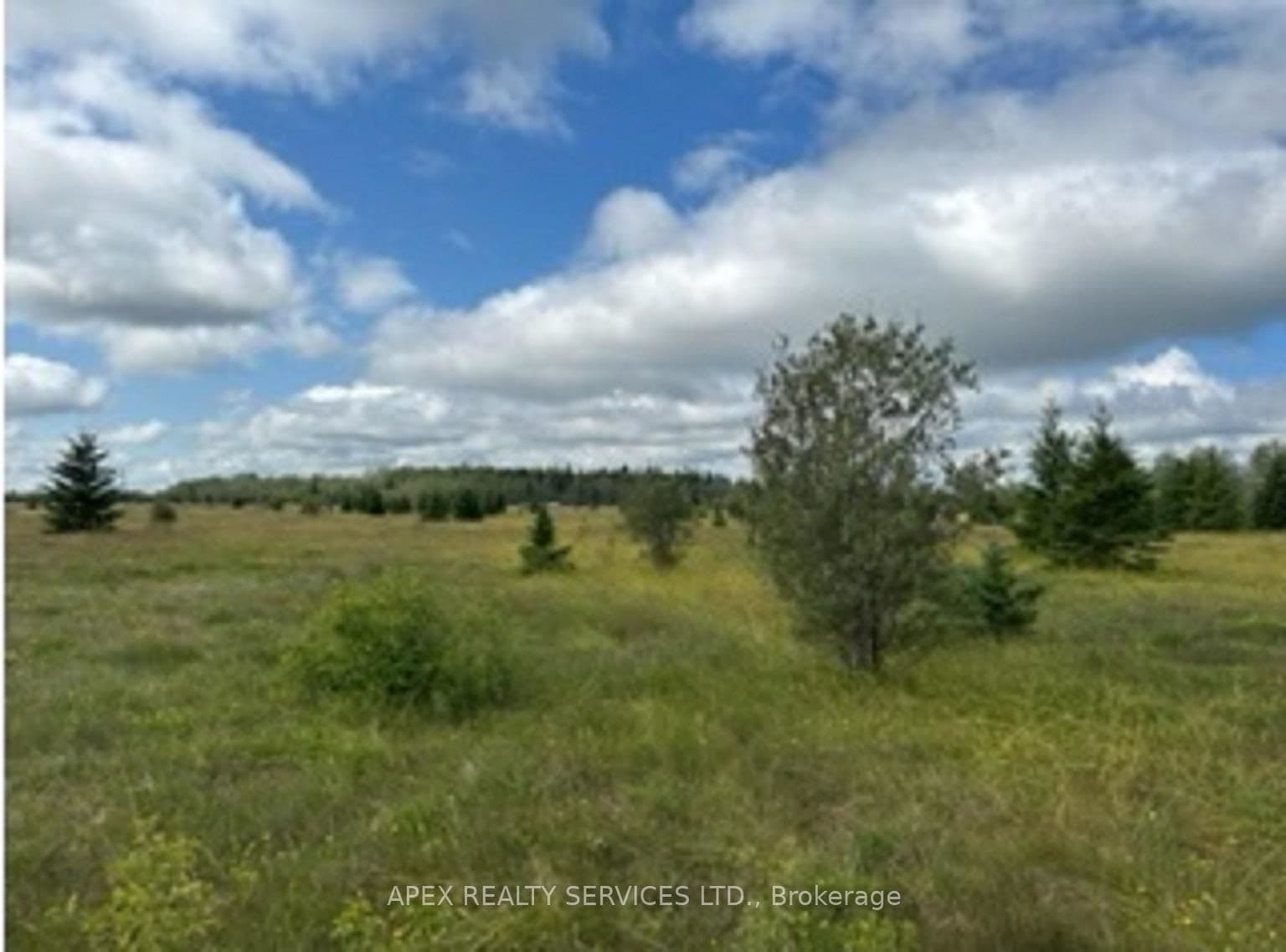 508 HWY 11E Mattice photo 11