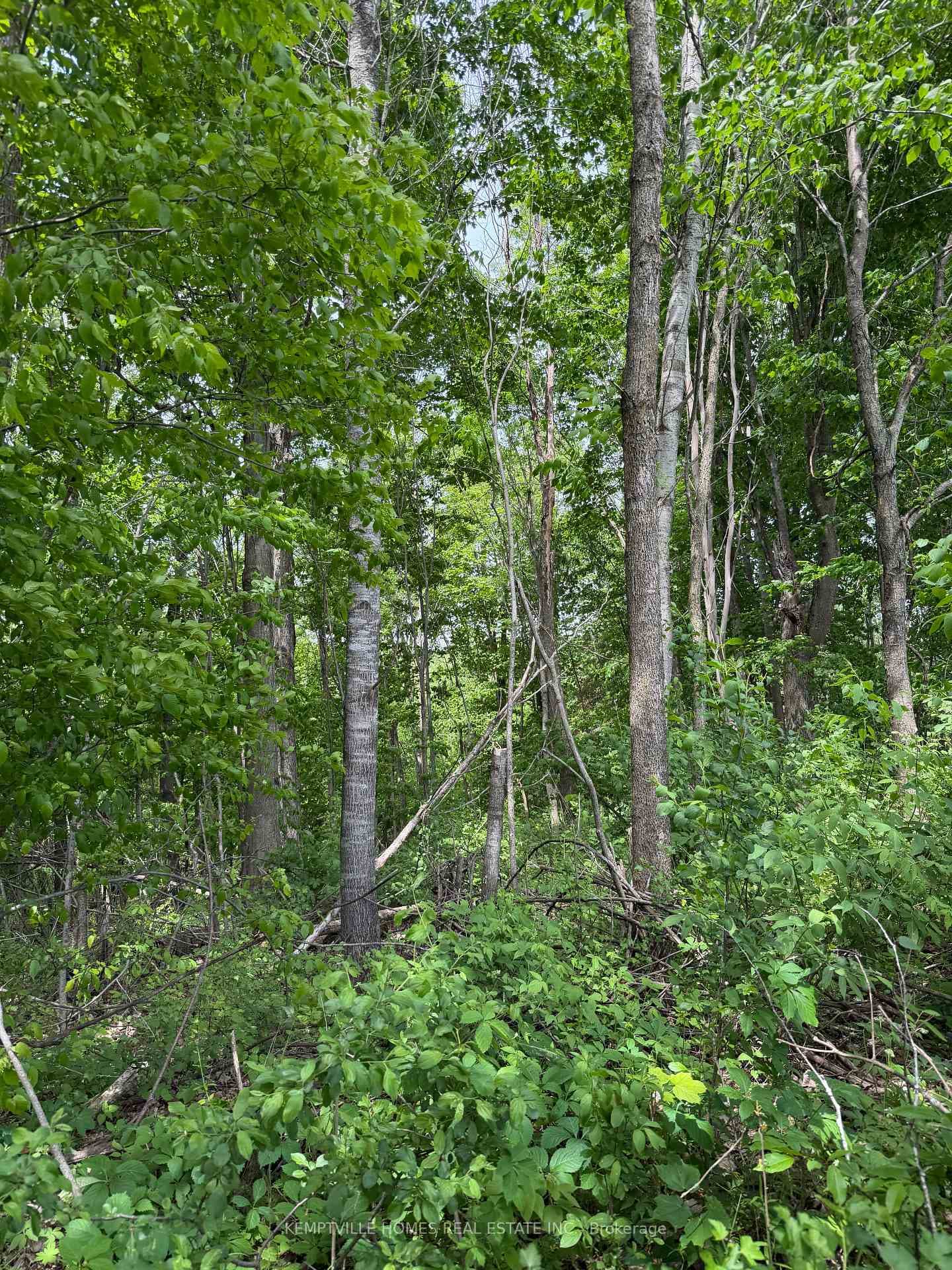 00 RICHARDSON Road photo 12