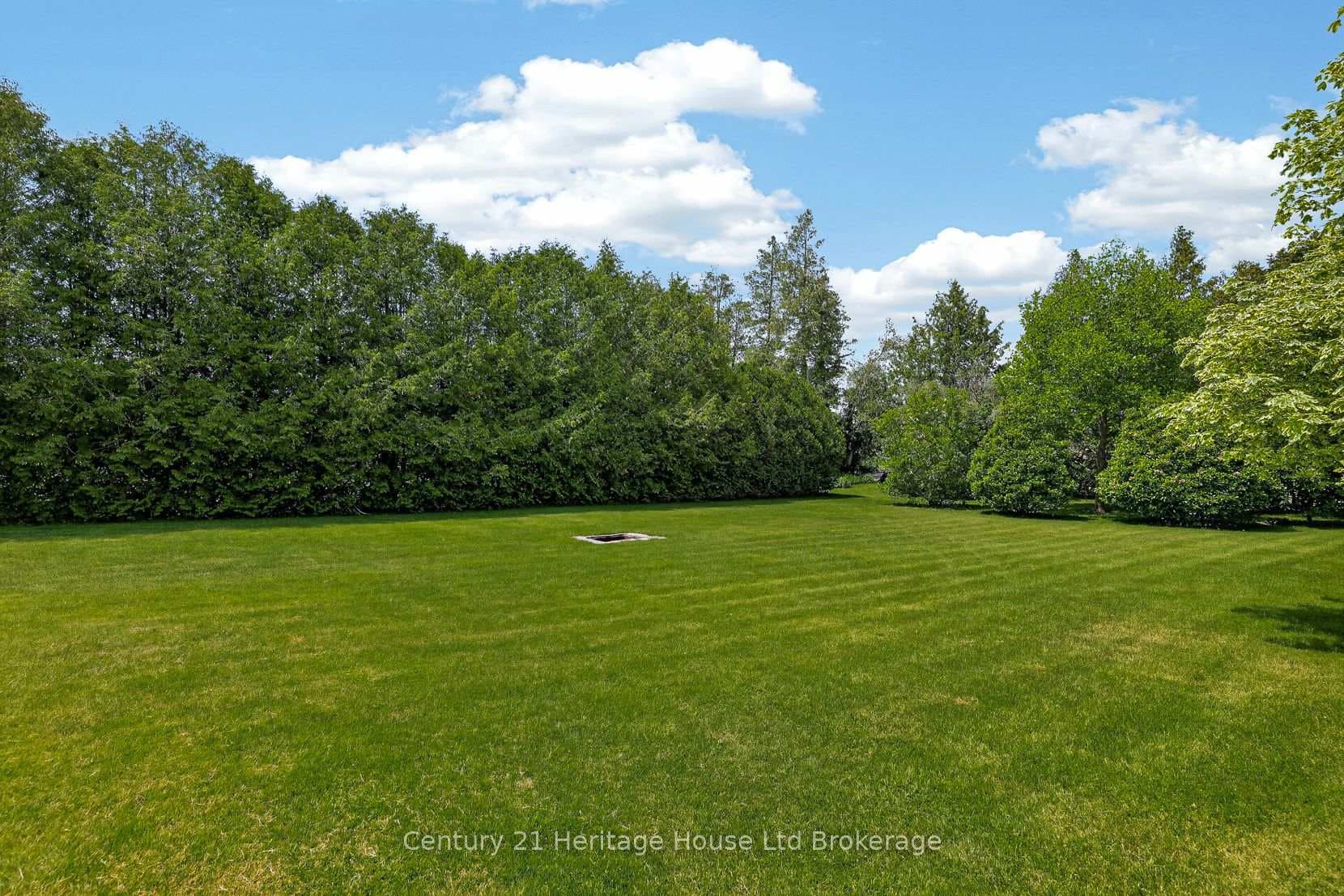 776443 Blandford Road photo 35