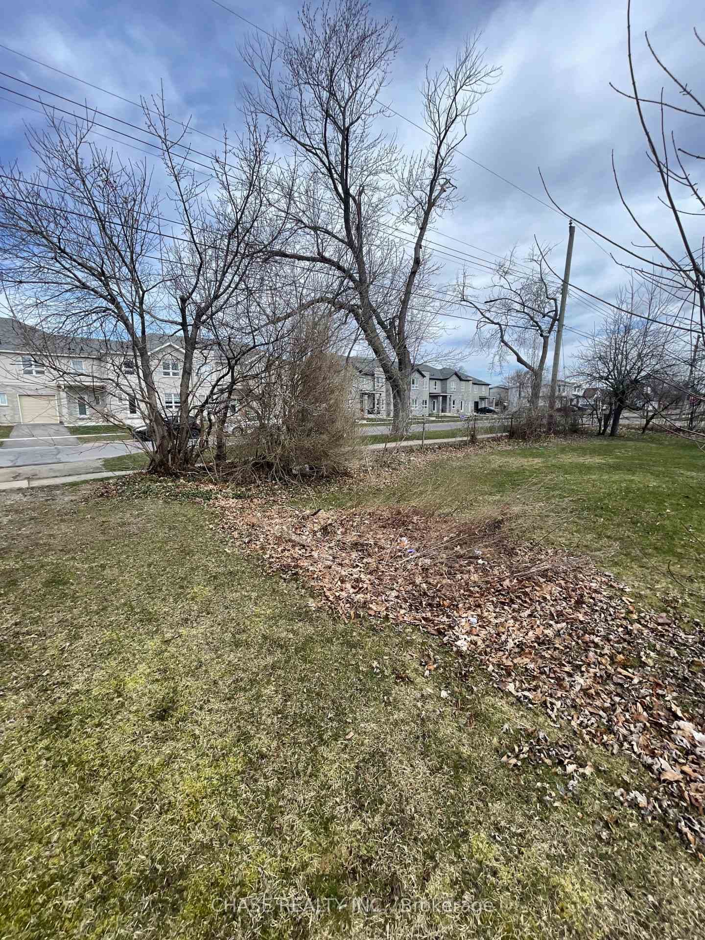 81 Saint George Street photo 13