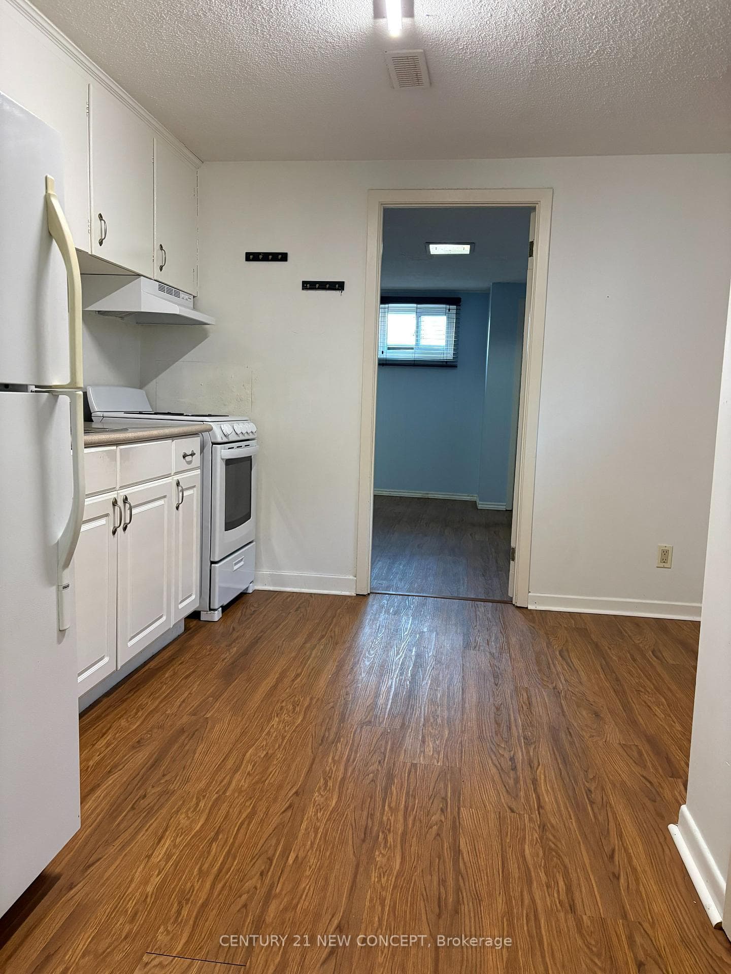 4 Ailsa Craig Court Unit Basement photo 9
