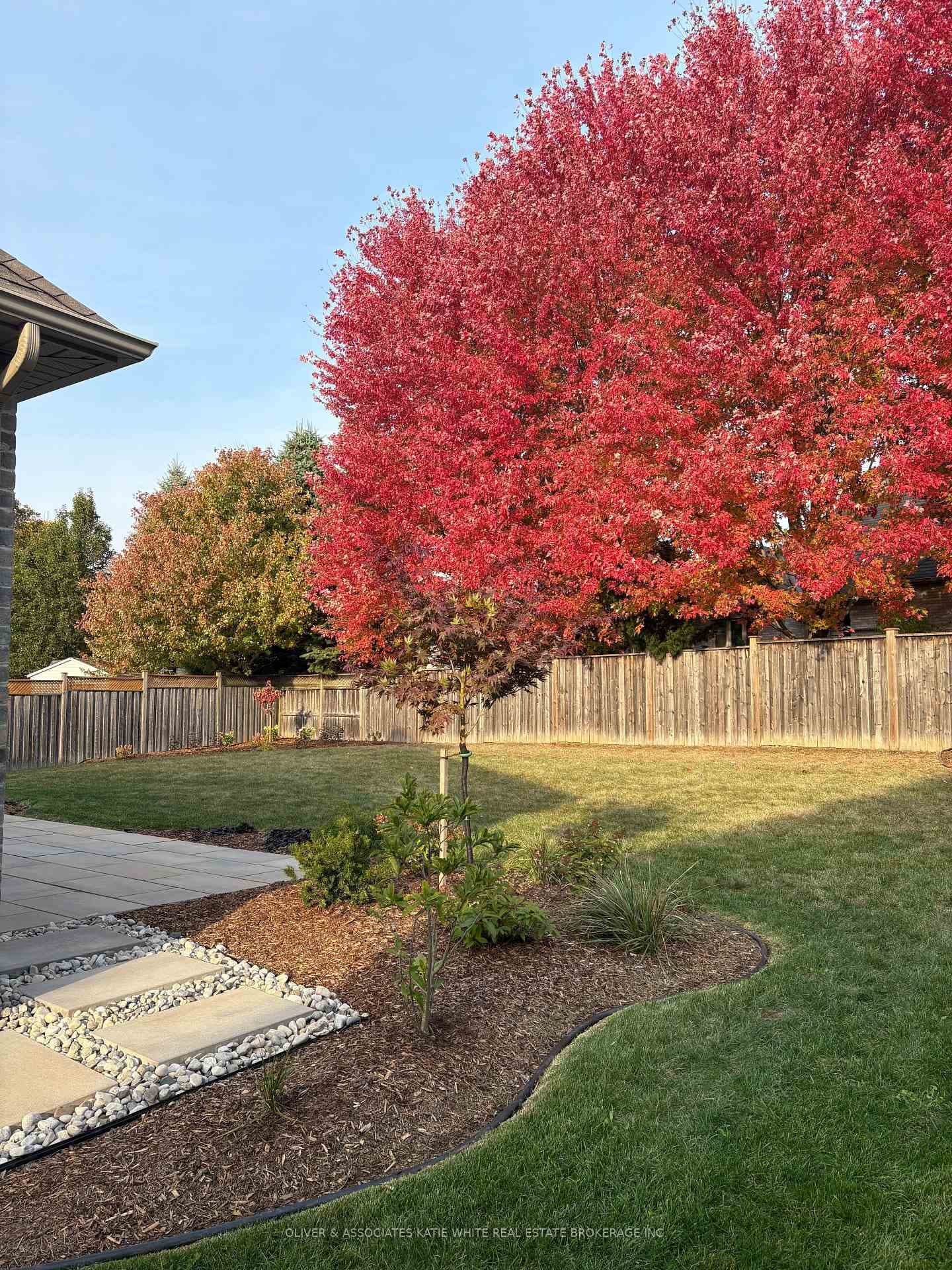 2246 LADYSLIPPER Crescent photo 31