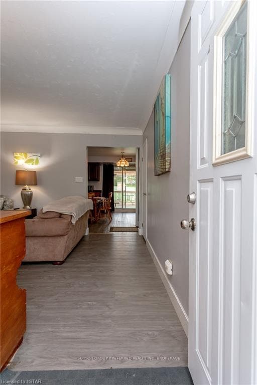 15 DAUGHERTY Drive photo 49