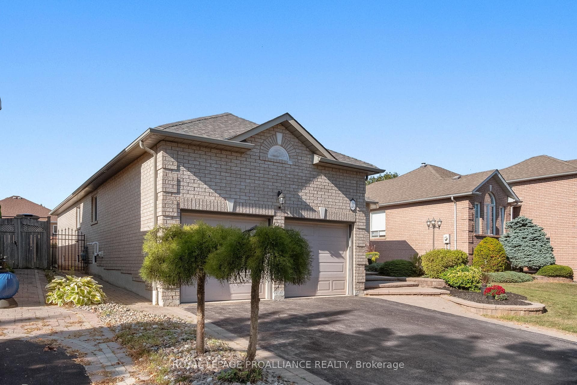 20 Patrick Drive photo 48