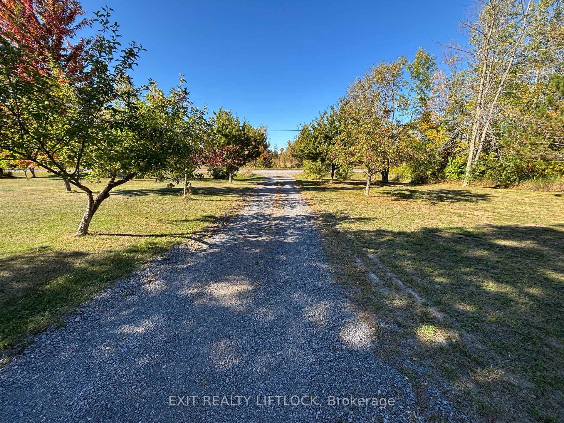 2725 Dummer Asphodel Road photo 28
