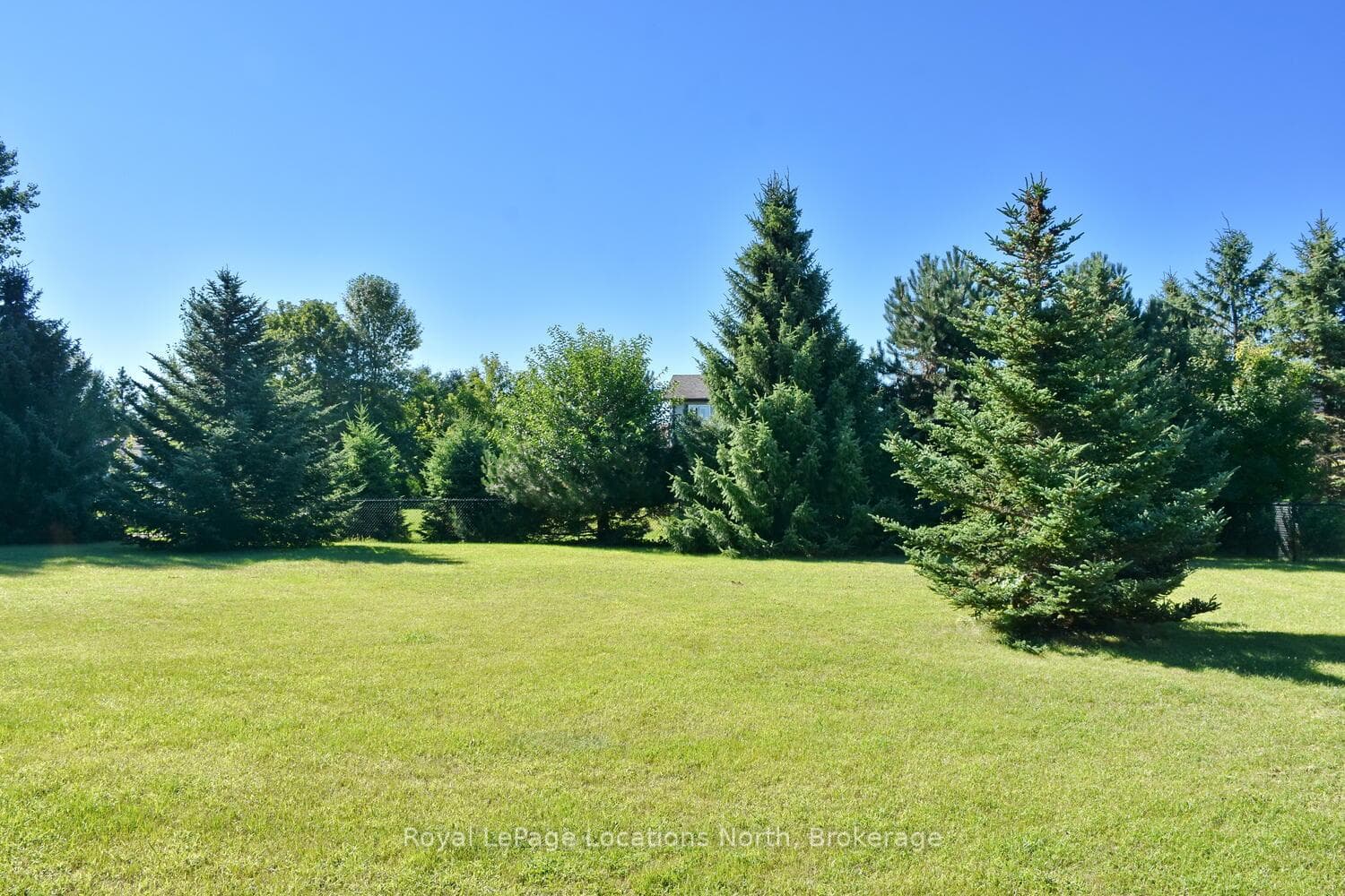 beautiful spacious rear yard