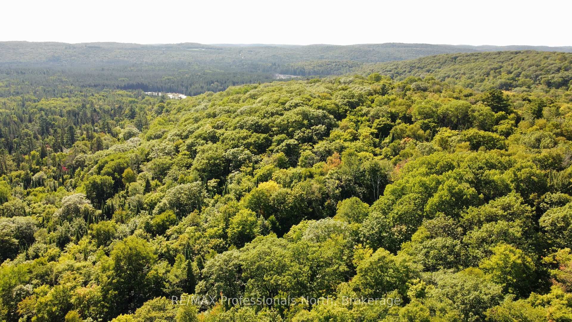 364 FORESTRY TOWER Road photo 50