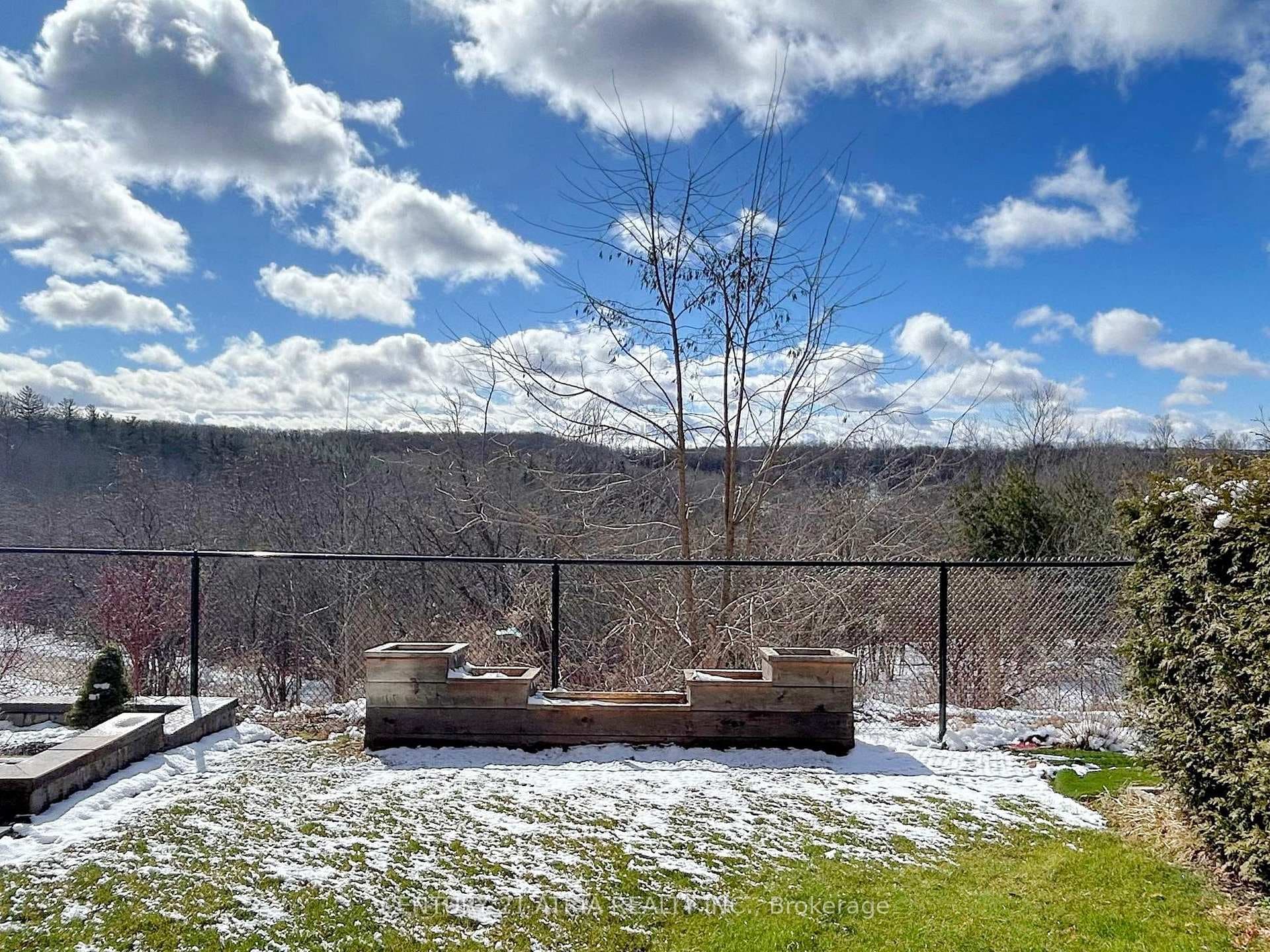 123 Anchusa Drive photo 22