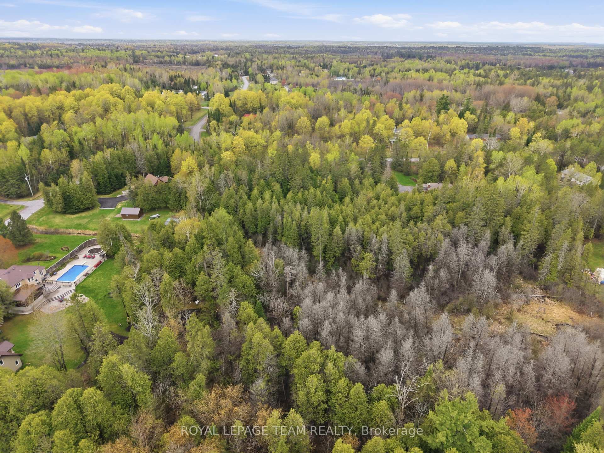 105 Pleasant Creek Drive photo 7