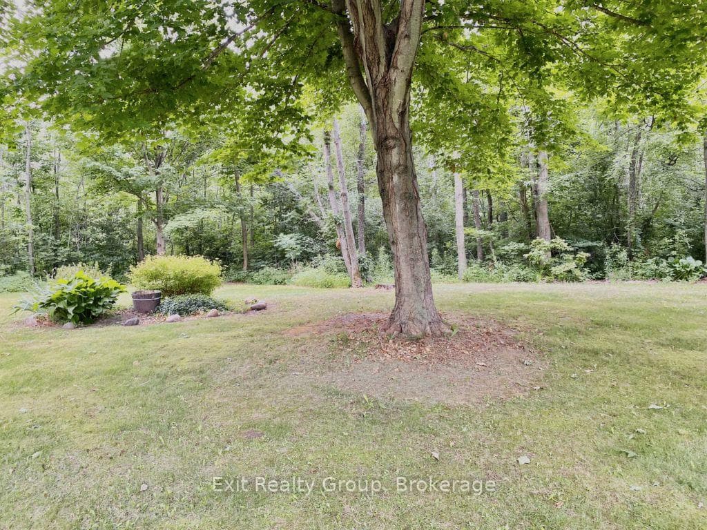 15369 Little Lake Road photo 3