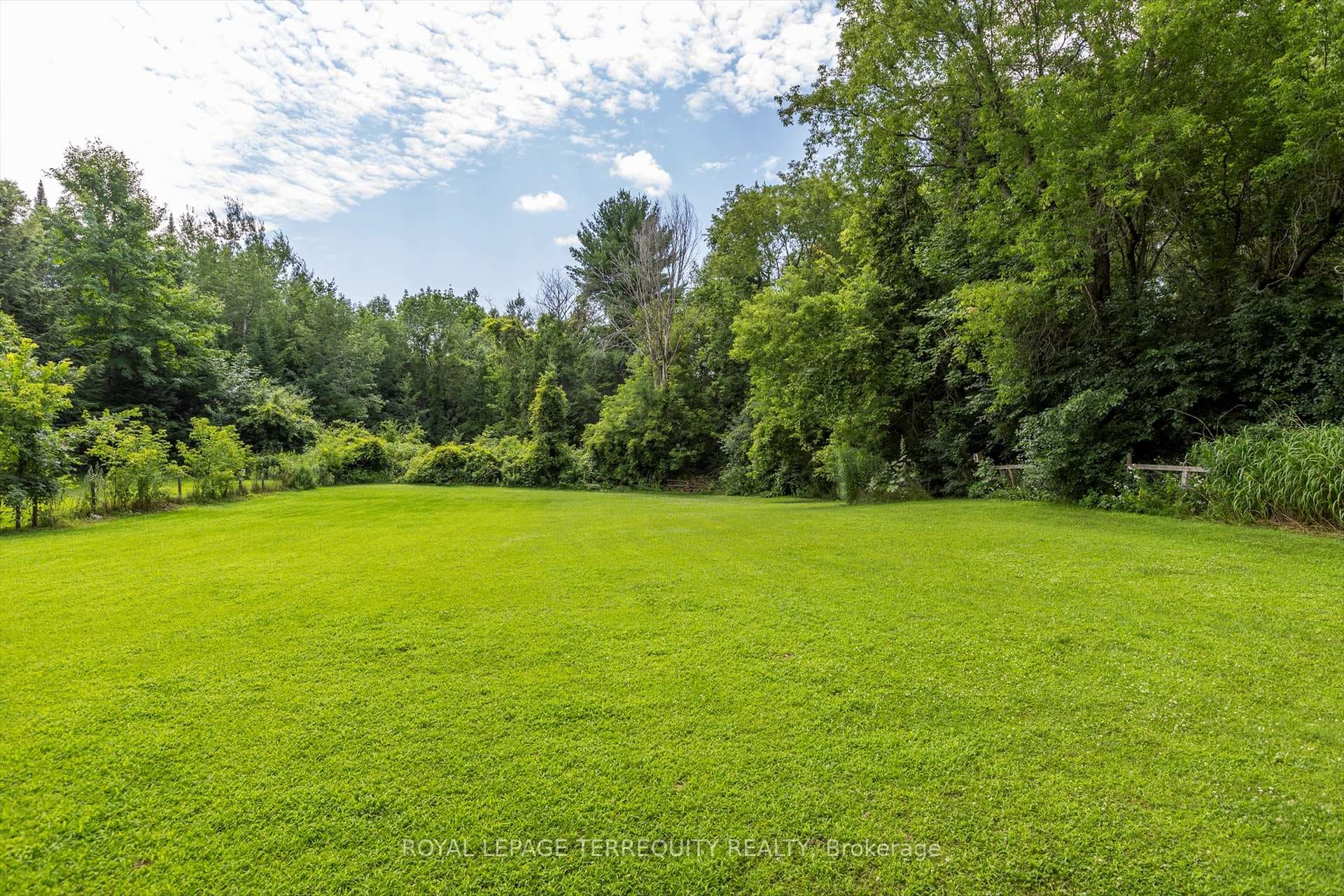 53 Concession Street photo 36