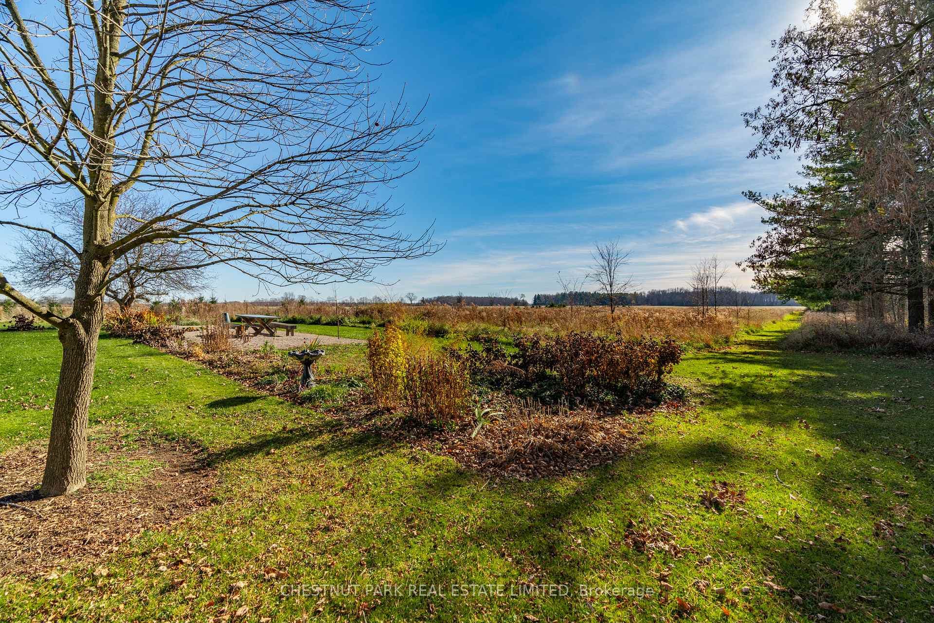 37213 Hills Road photo 35
