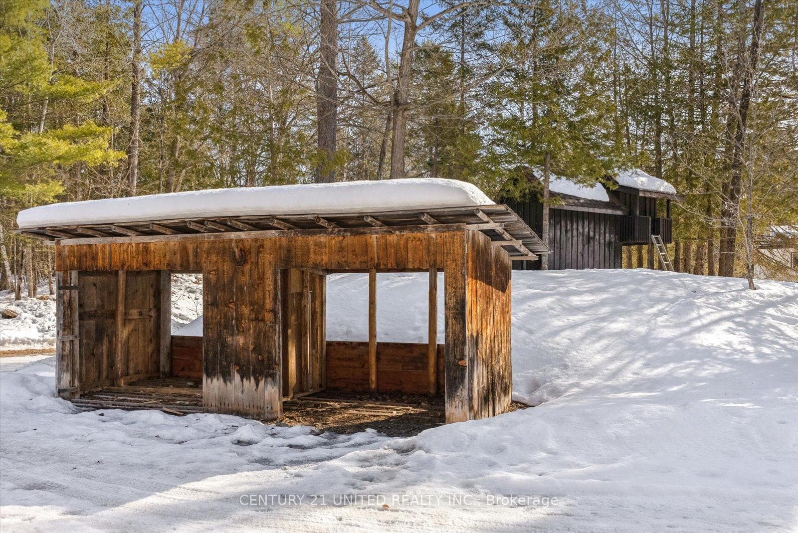 123 Moon Line Road photo 45