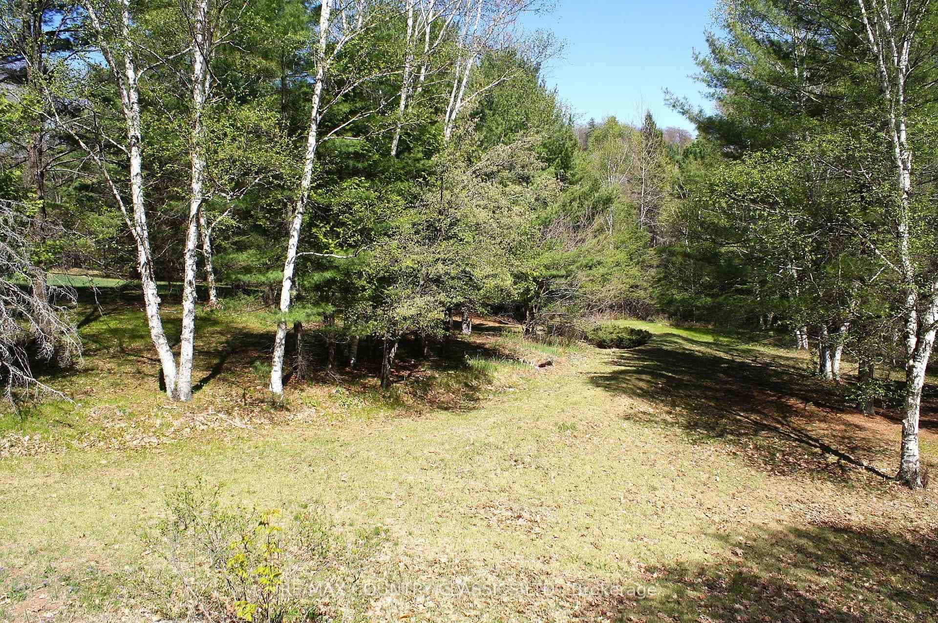 1060 Little Ireland Road photo 26