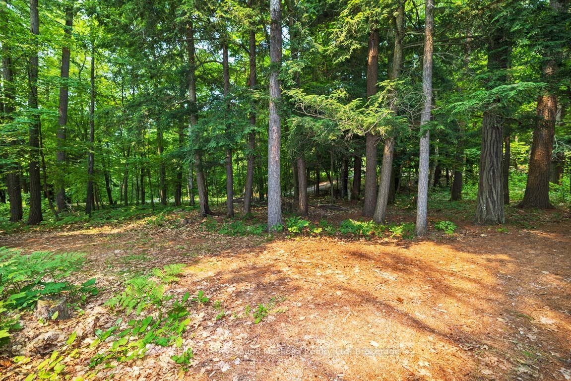 Year round road access