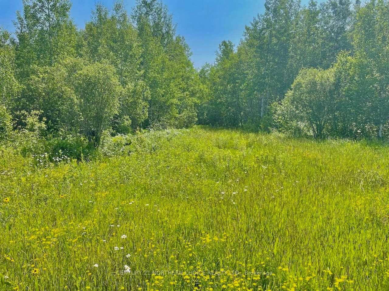 160 Bolen Road photo 2