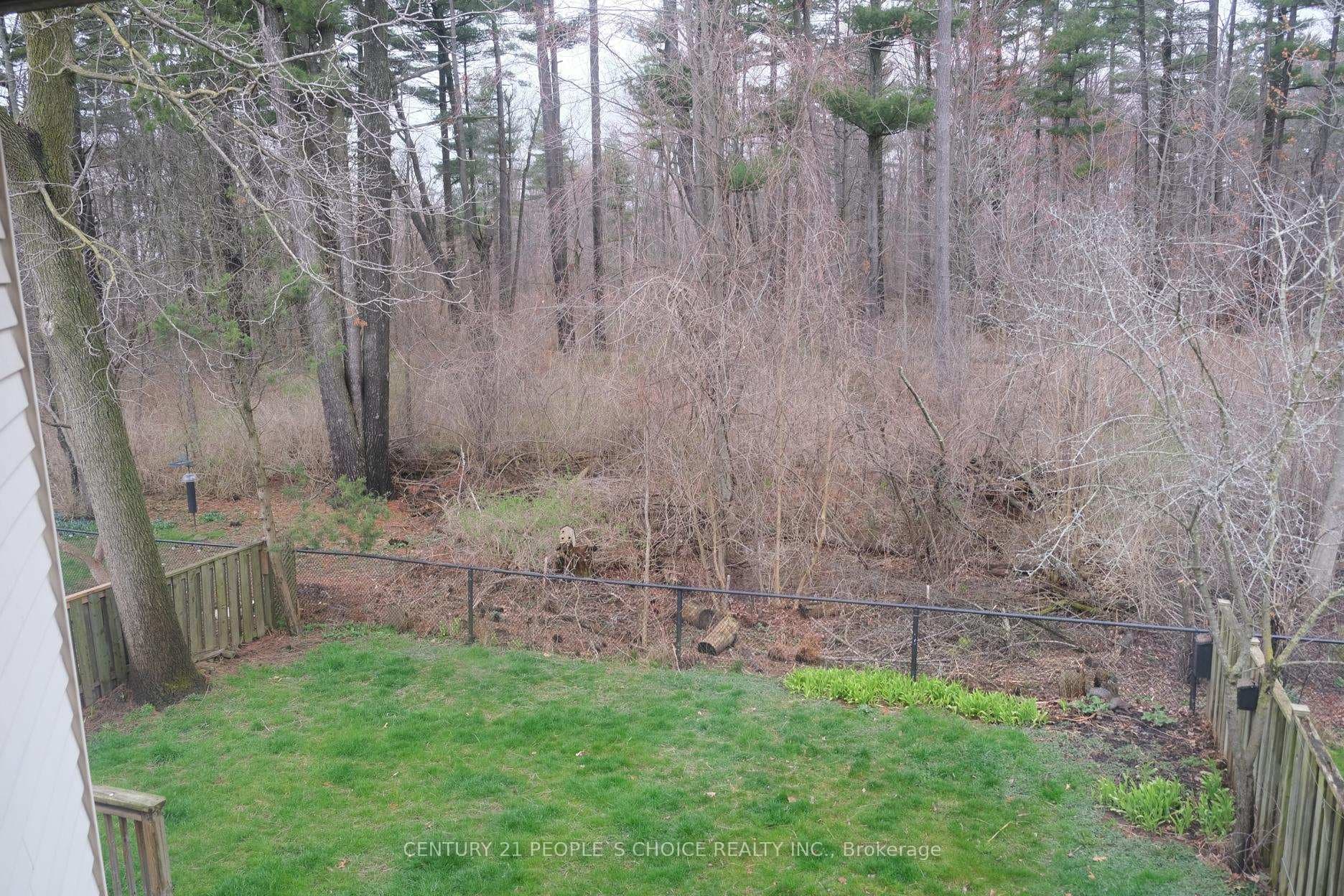 188 Chalmers Street photo 31