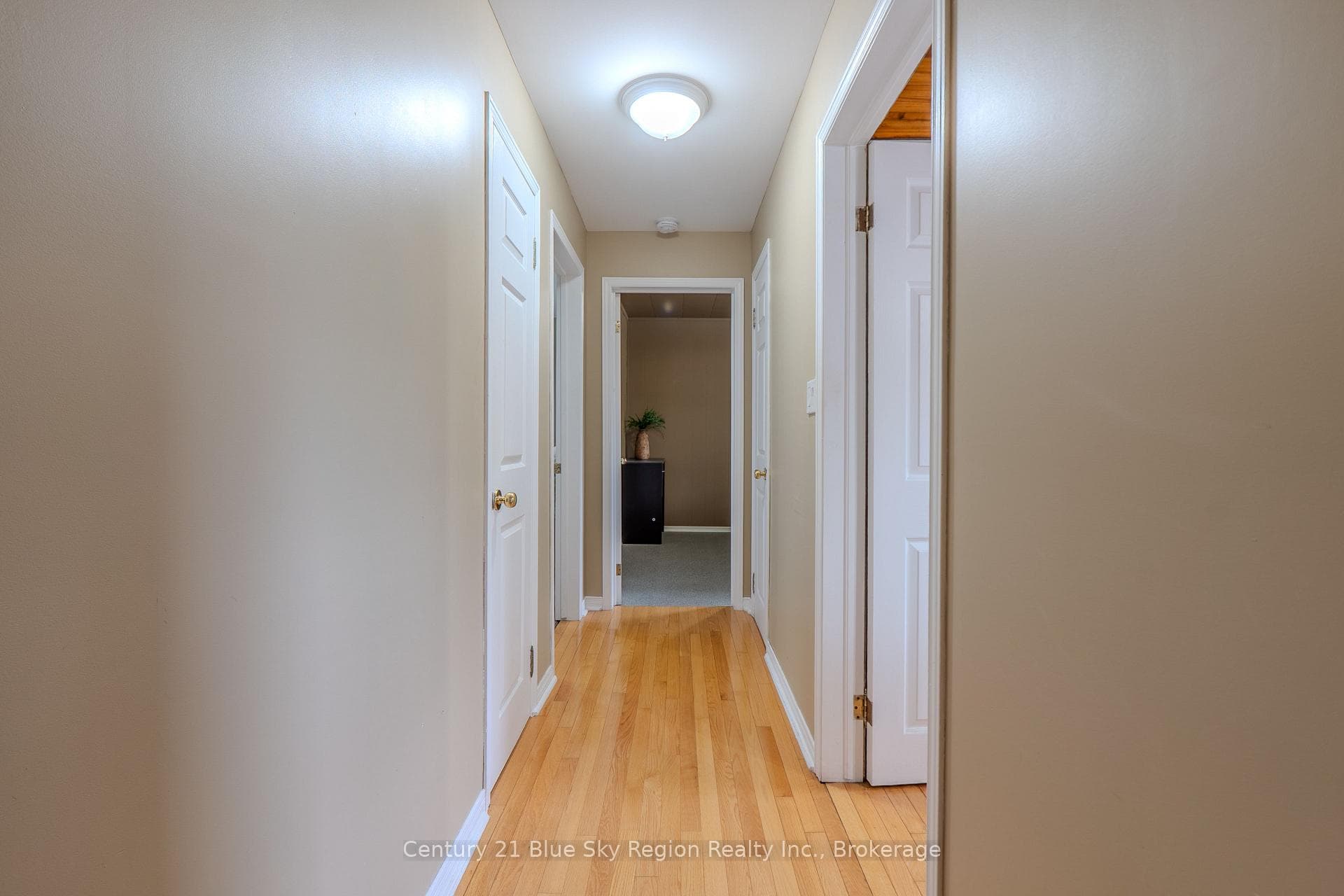 144 Collins Drive photo 22