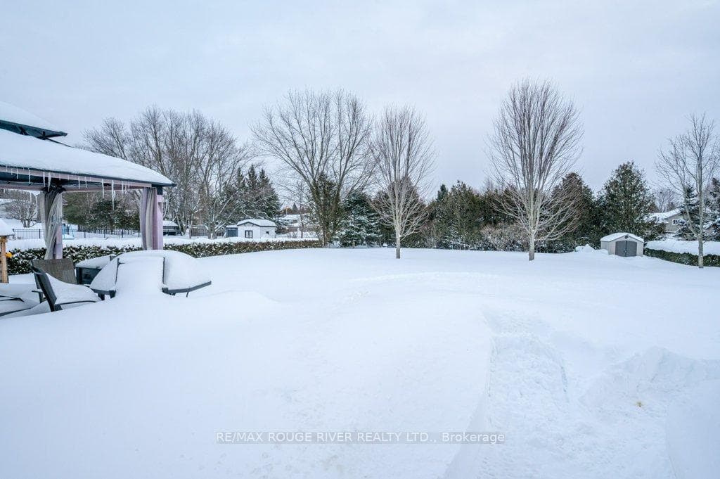 5 Woodfield Street photo 34