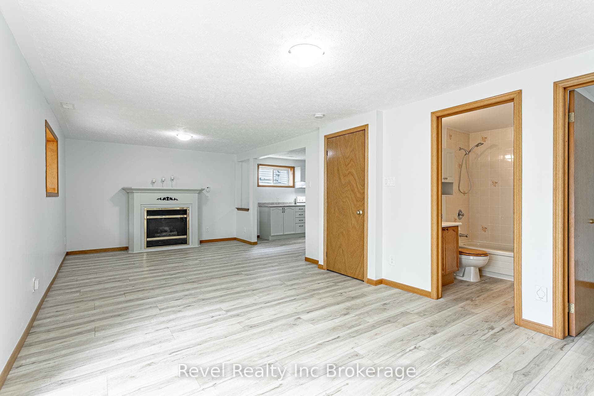 Living room with fireplace