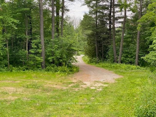 000 COUNTY ROAD 23 Road photo 3