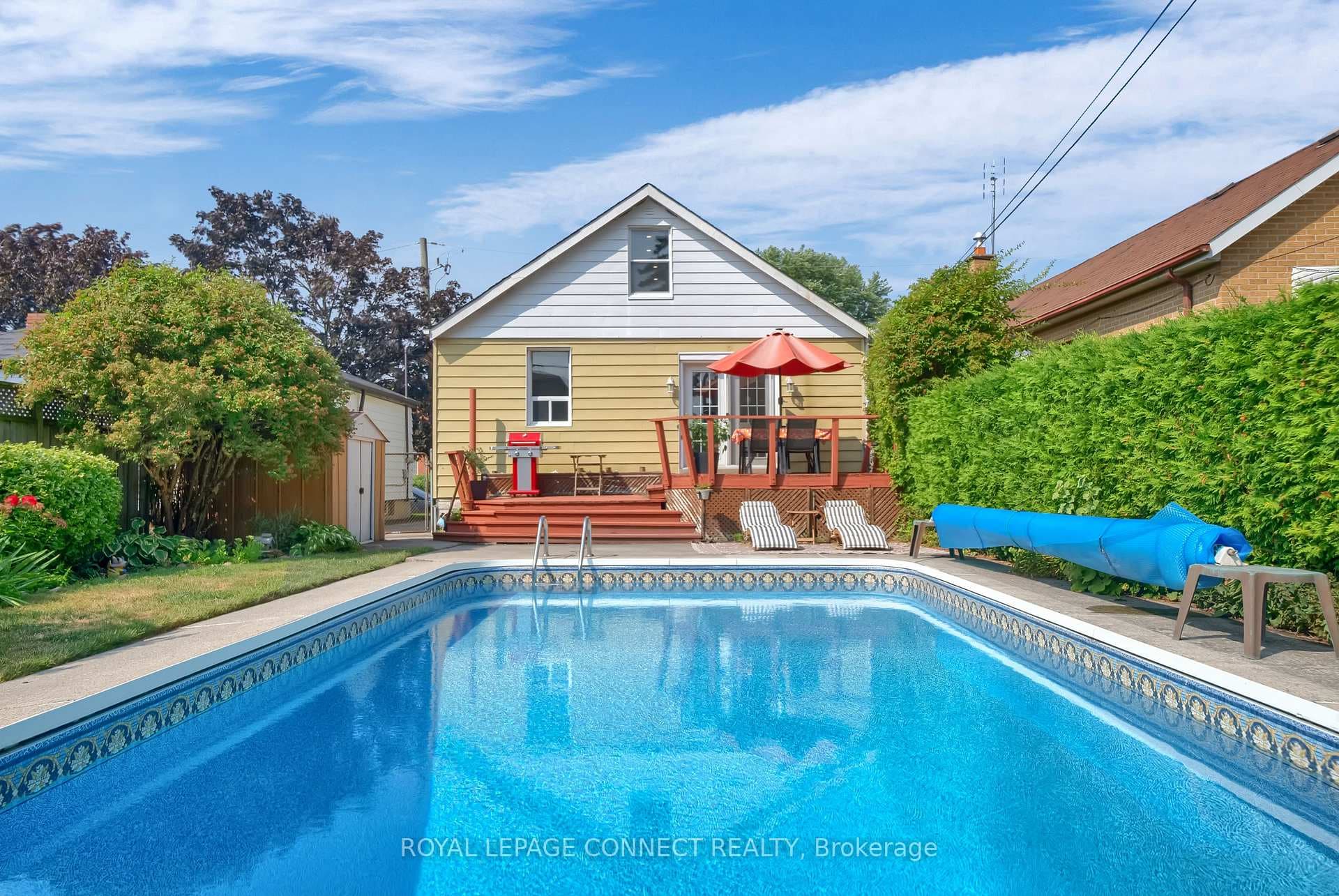 91 Lillington Avenue photo 13
