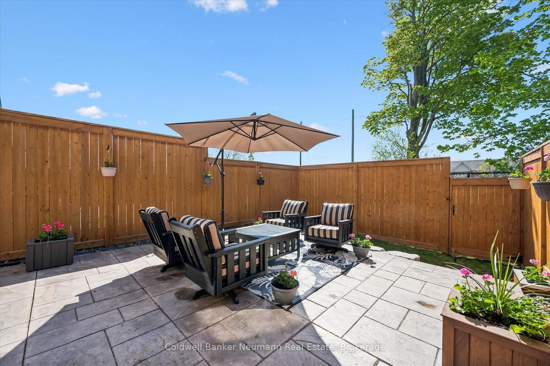 51 Jeffrey Drive photo 17