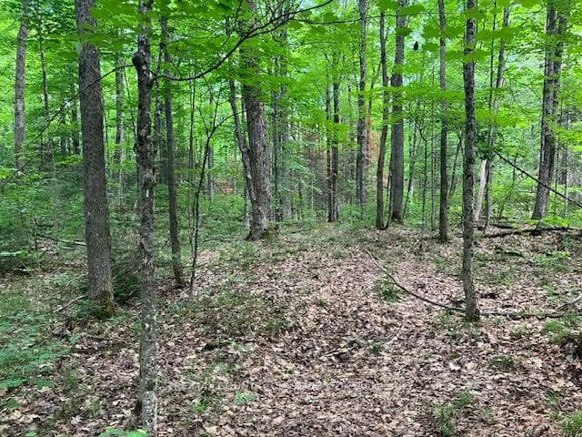 6732 County Road 620 N/A photo 7