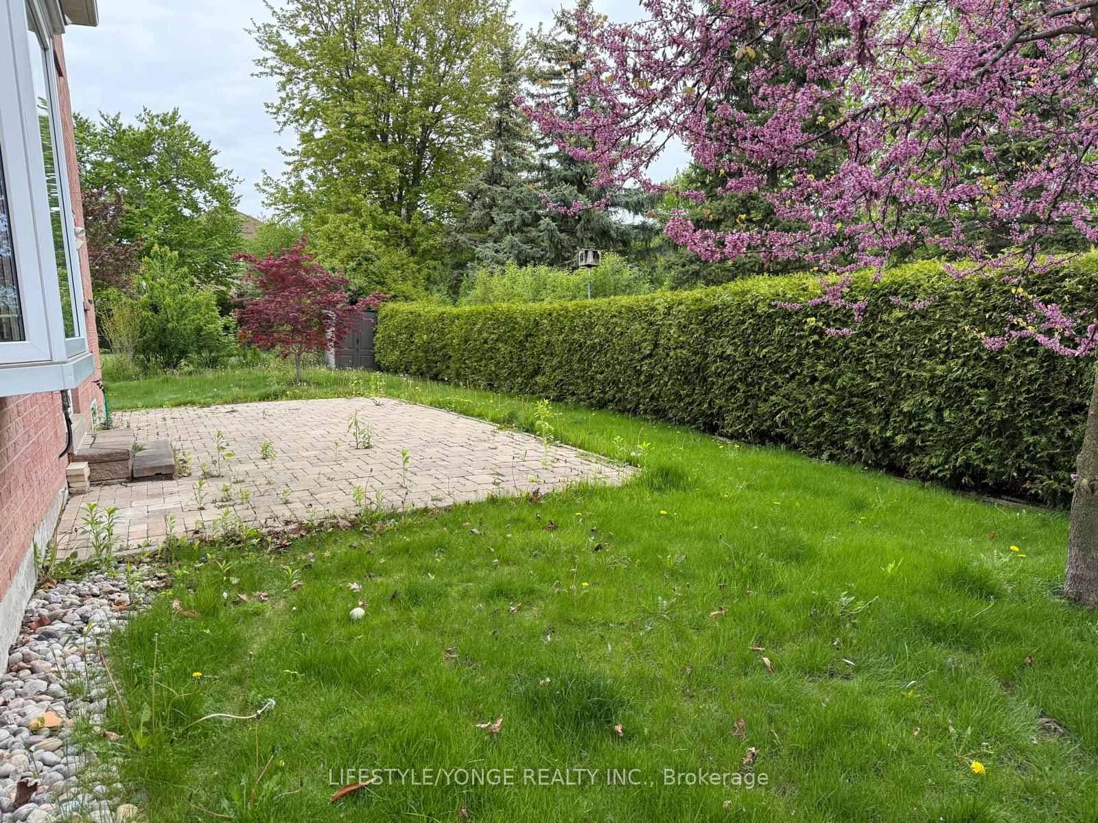 62 Pickett Crescent photo 3