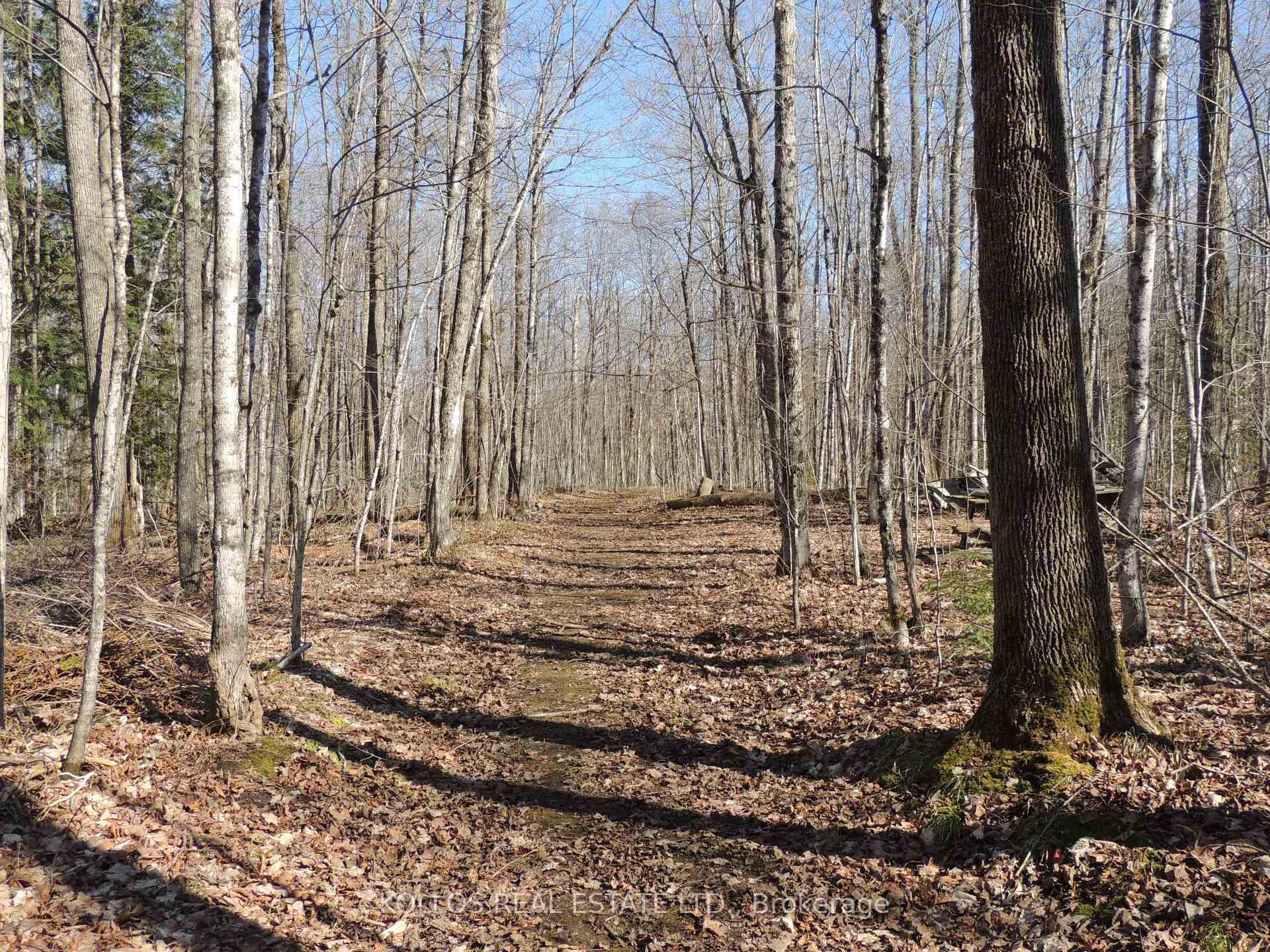 Trail