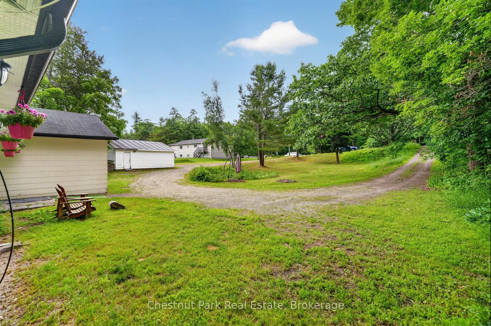 52 Joseph Street photo 6