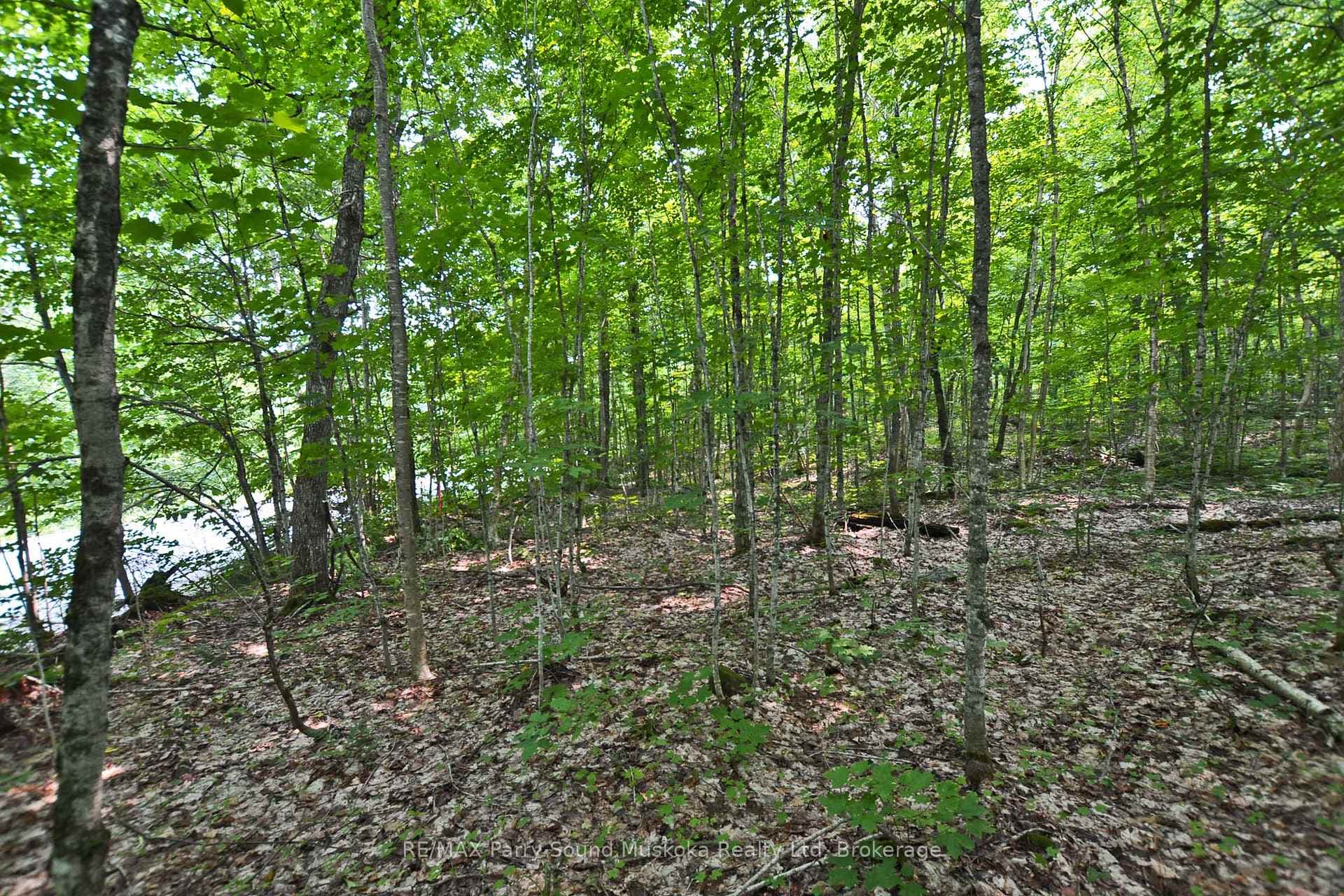 Prime 5 acre building lot!