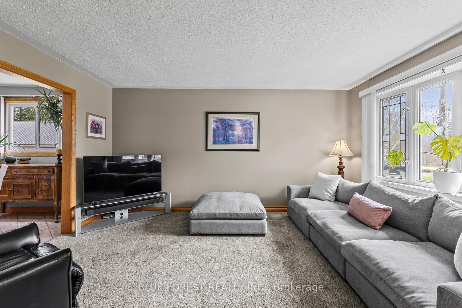 2362 Slo Pitch Road photo 8