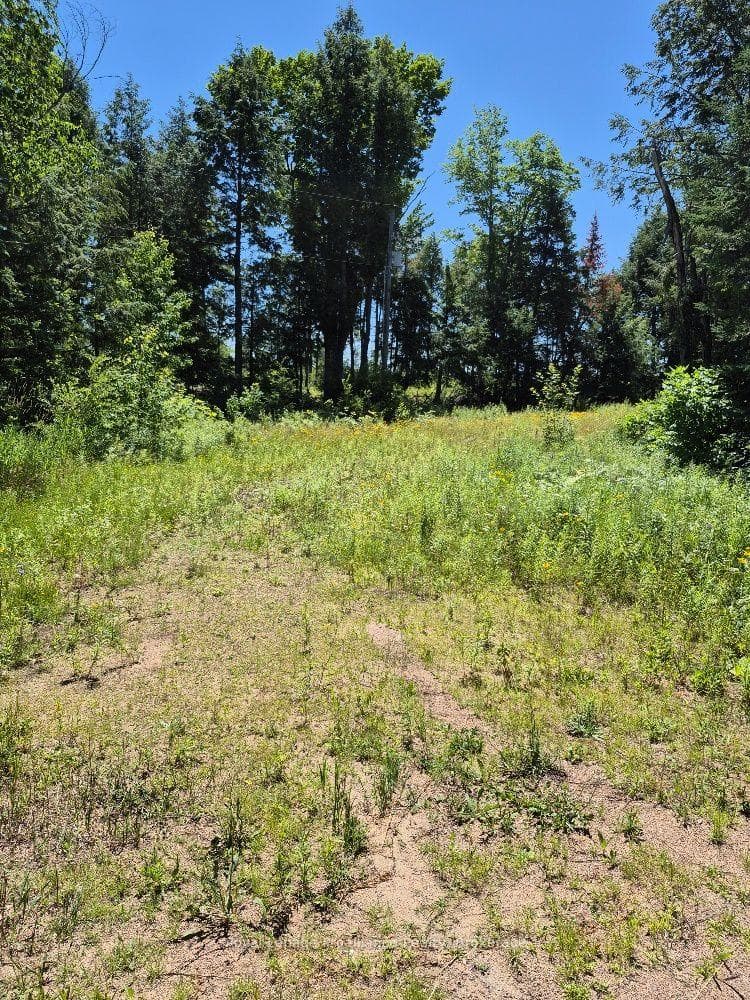 Lot 15 North Steenburg Lake Road photo 1