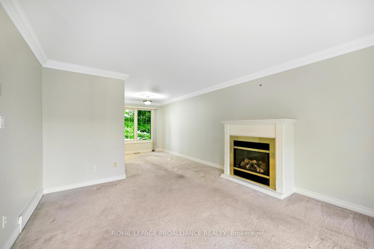 1003 Montrose Street photo 7