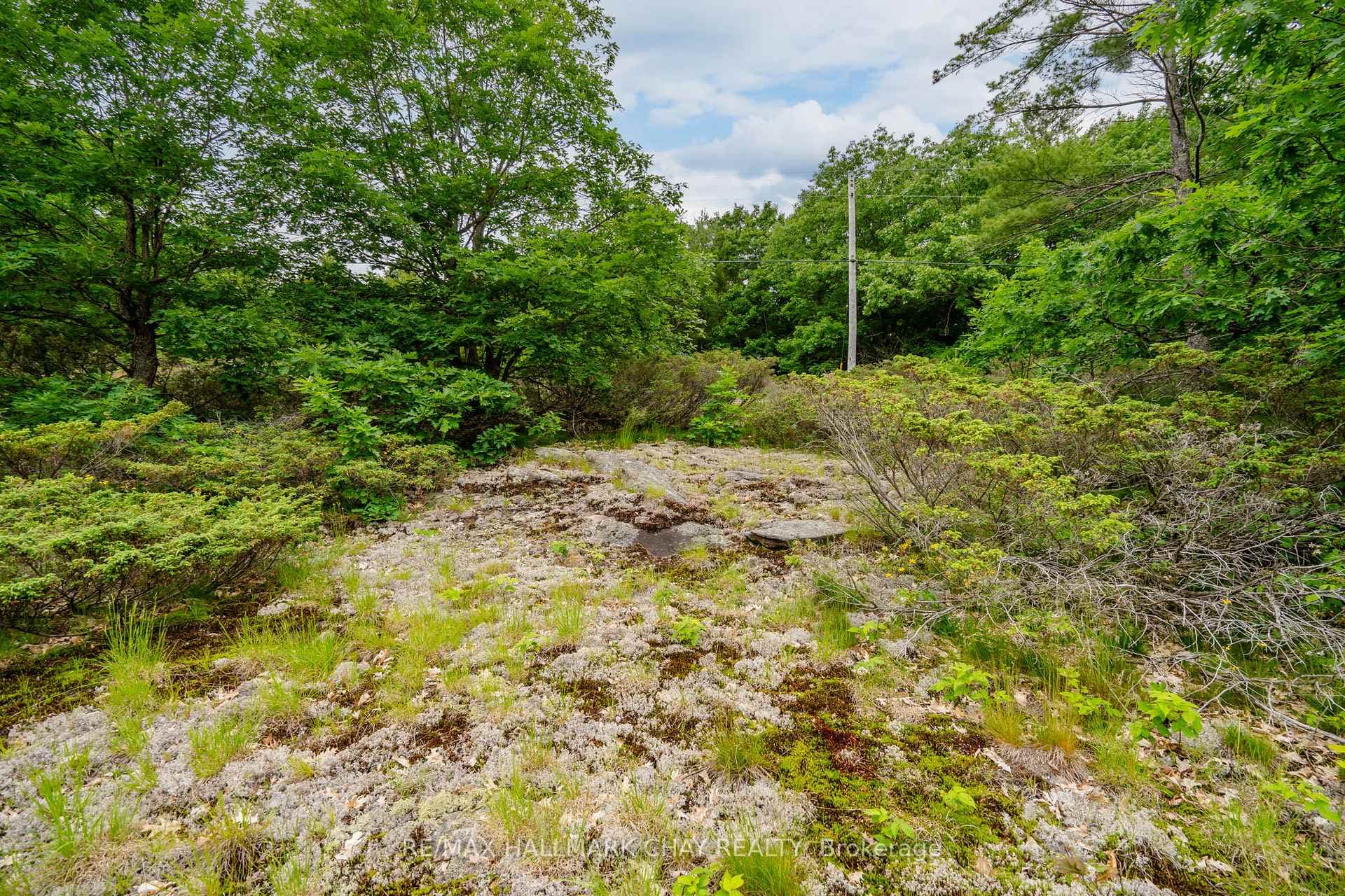 Lot 1 Delta Road photo 18