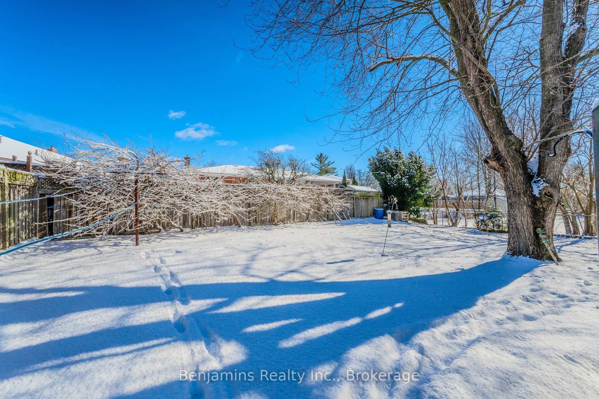 11 Willow Avenue photo 37