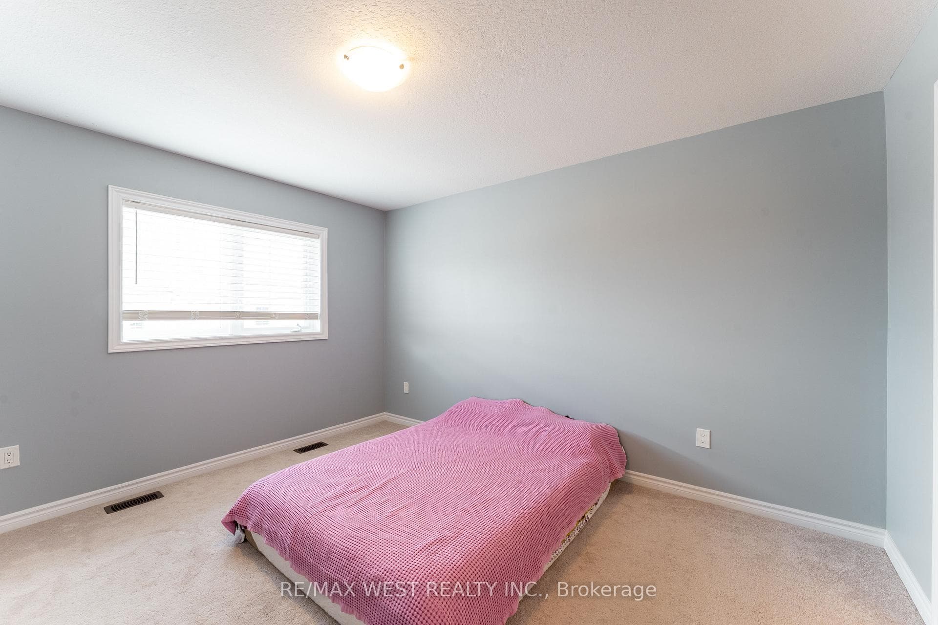 24 Dewberry Drive photo 24