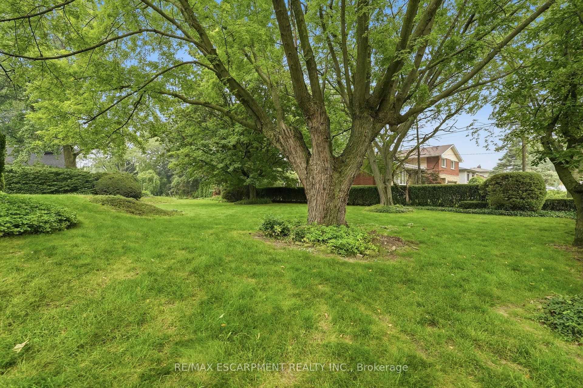 Lawn featuring mature trees and established hedges