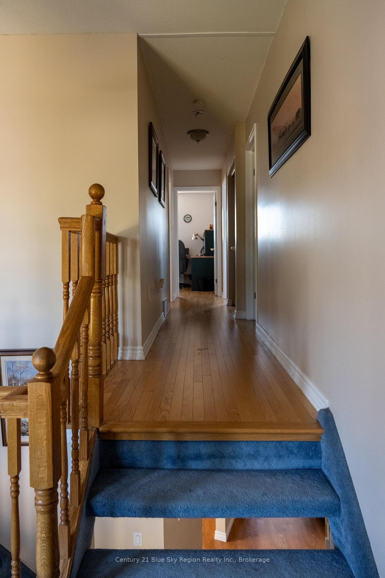 14 Romeo Court photo 20