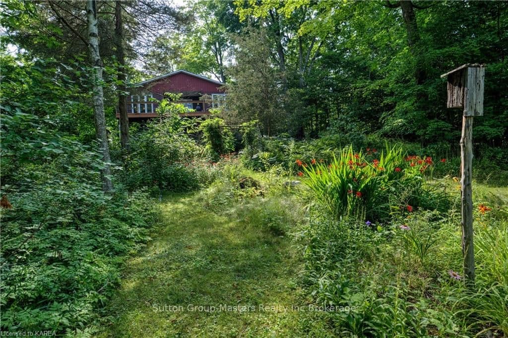 Back gardens